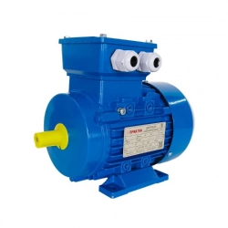 Электродвигатель общепромышленного назначения АИС 100LB8 1.1 кВт 750 Об/мин (лапы) - фото