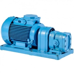 Насос шестеренный БГ 11-11 АИР 63А4 IM2181 0.25 кВт - фото