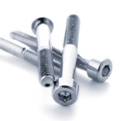 Титановый винт с цилиндрической головкой под шестигранник М33х160 ГОСТ 11738-84 - фото
